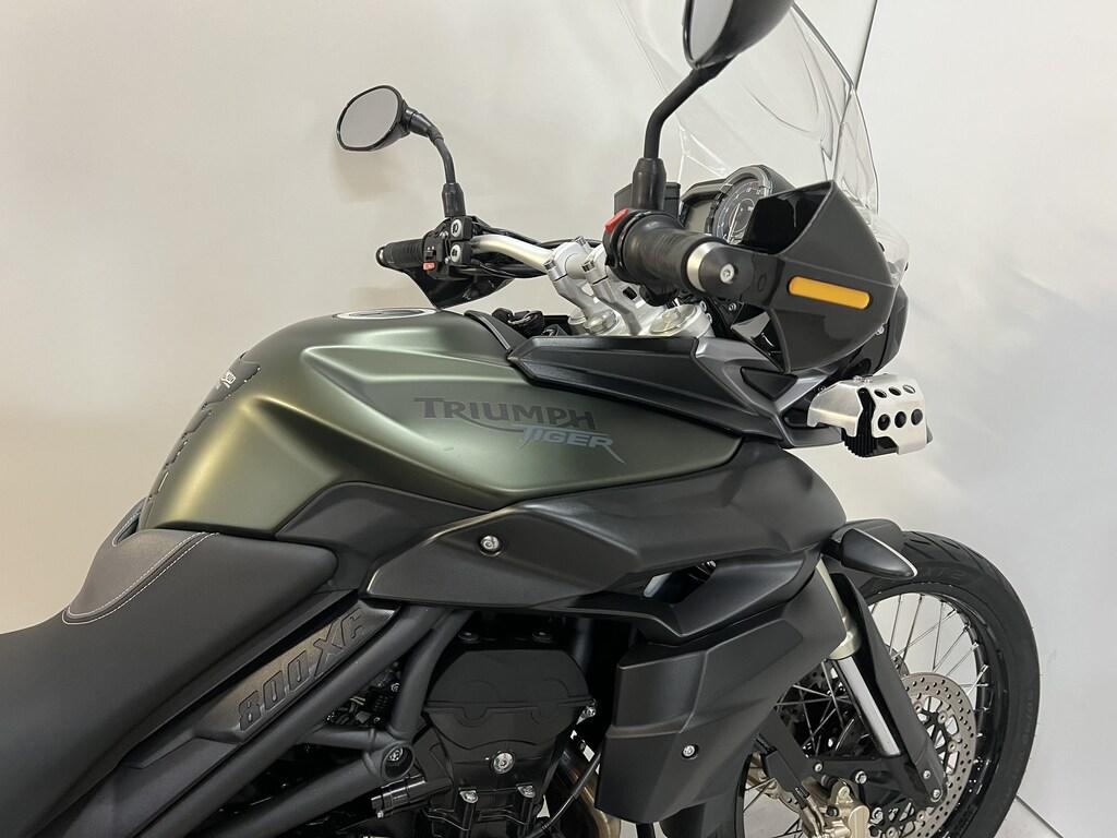 TIGER 800