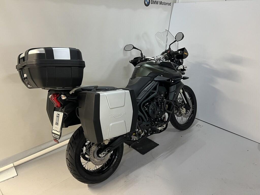 TIGER 800