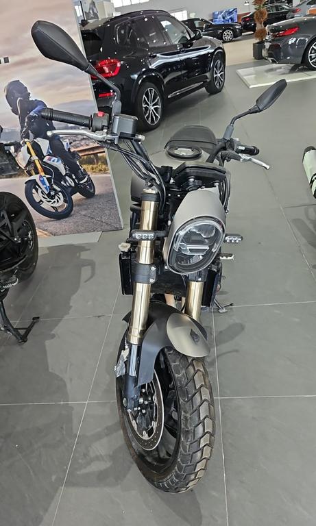 LEONCINO 500