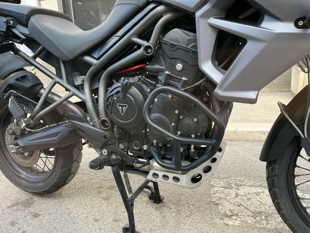 TIGER 800
