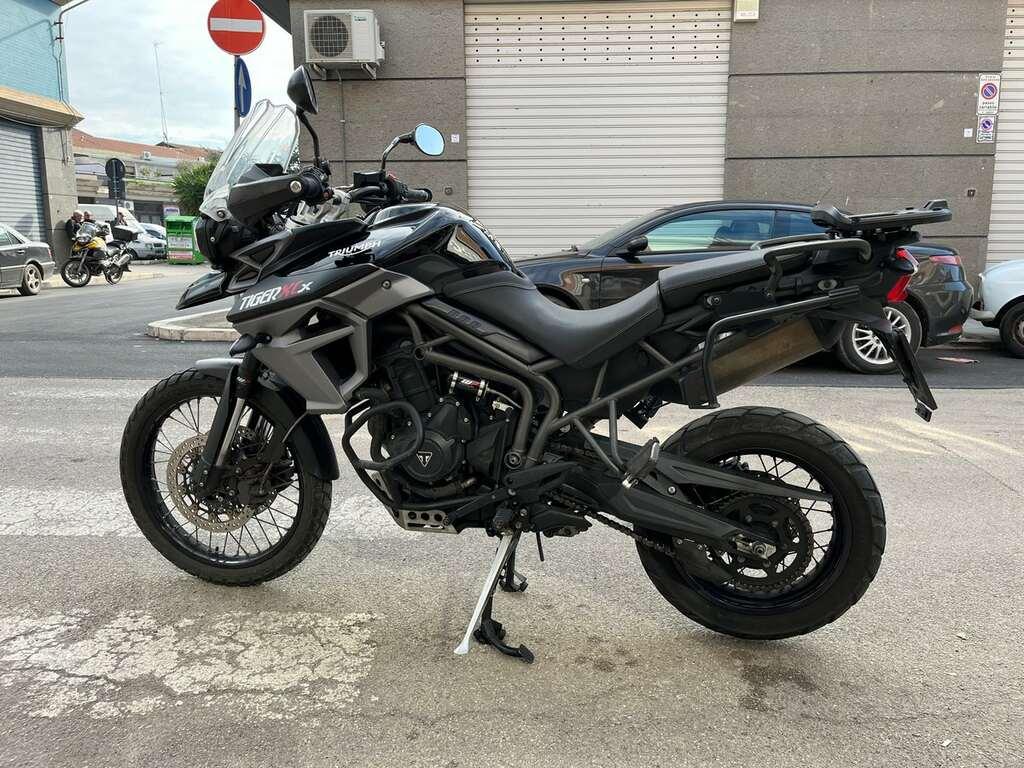 TIGER 800