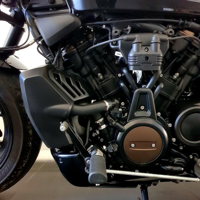 1250 SPORTSTER