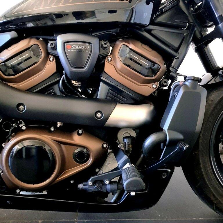 1250 SPORTSTER