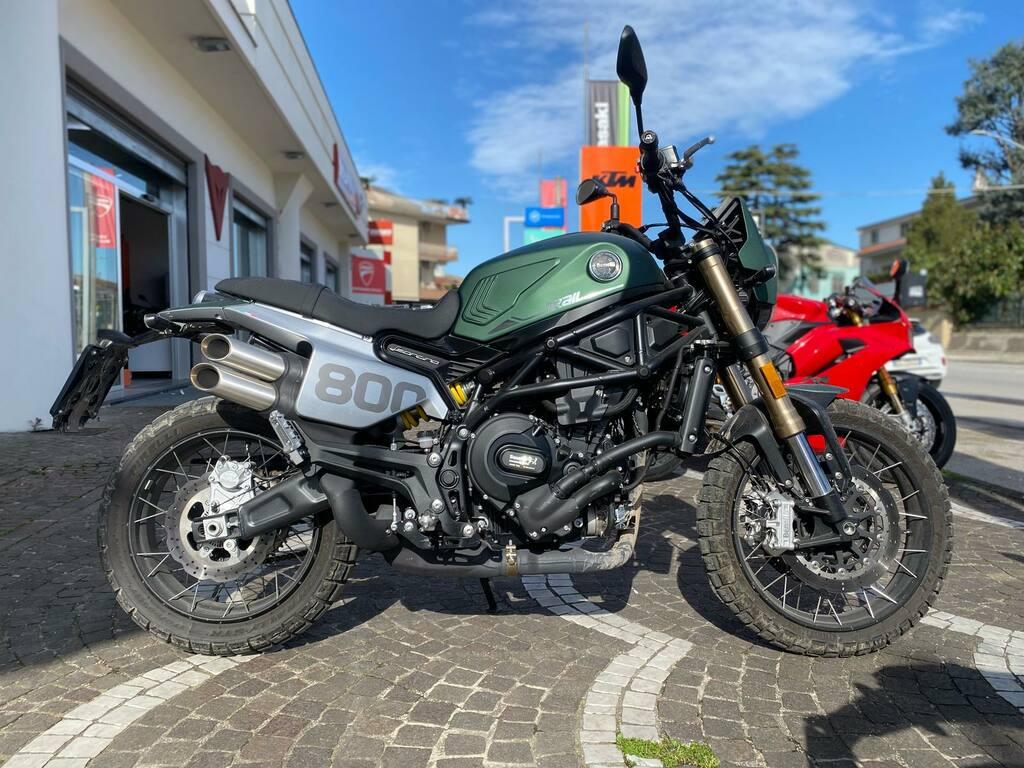 LEONCINO 500