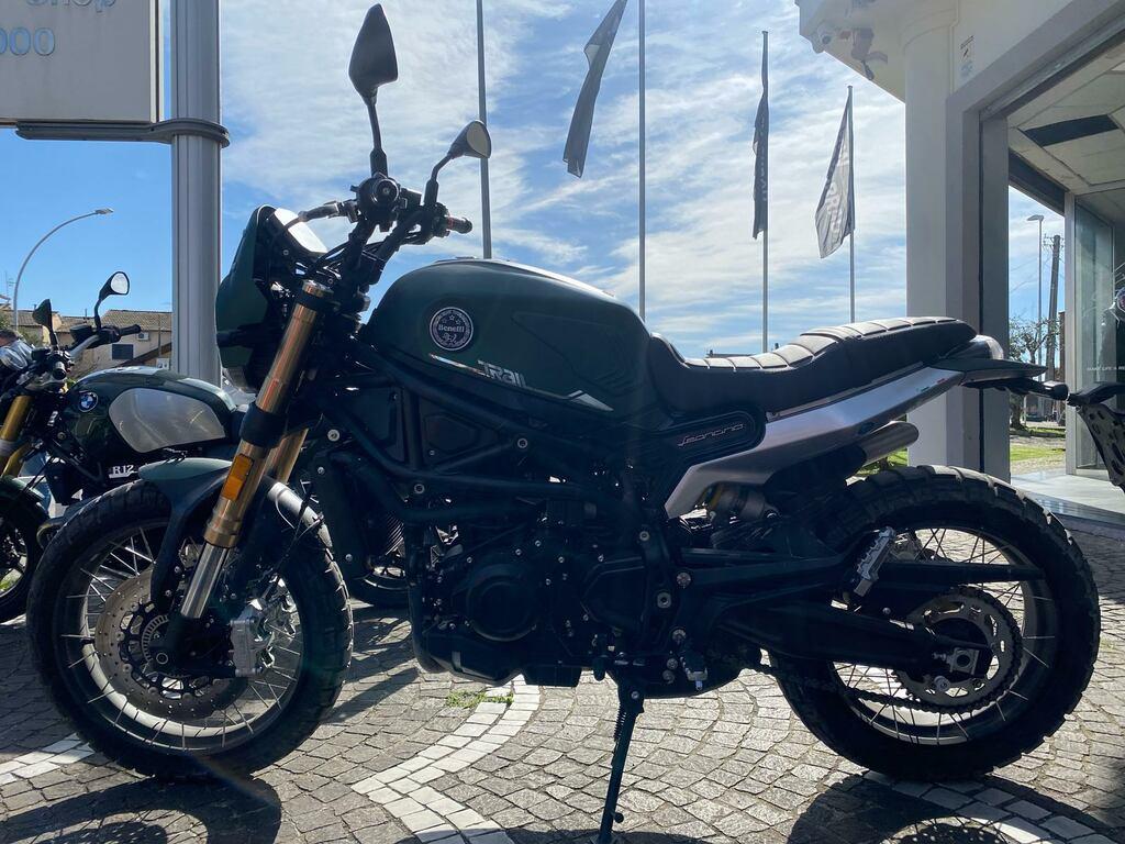 LEONCINO 500