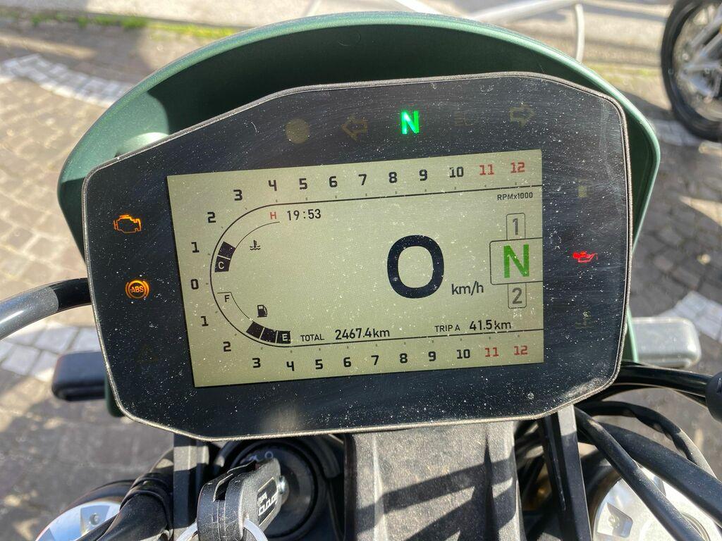 LEONCINO 500