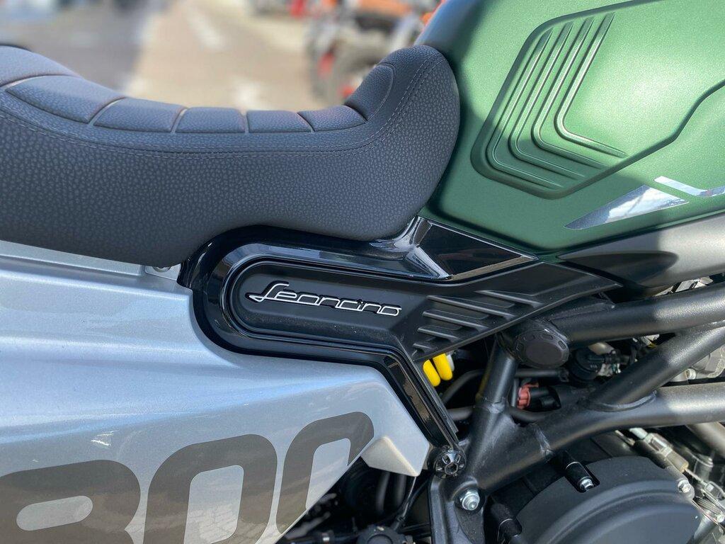 LEONCINO 500