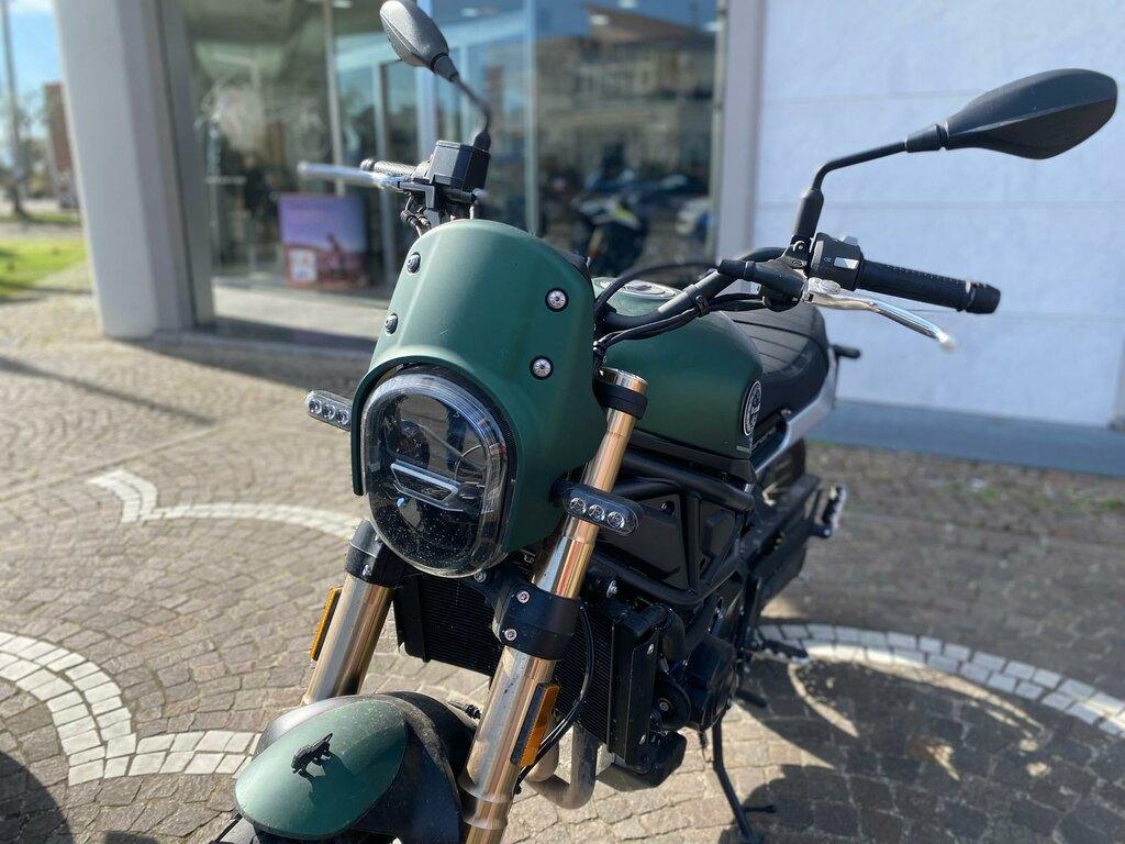 LEONCINO 500