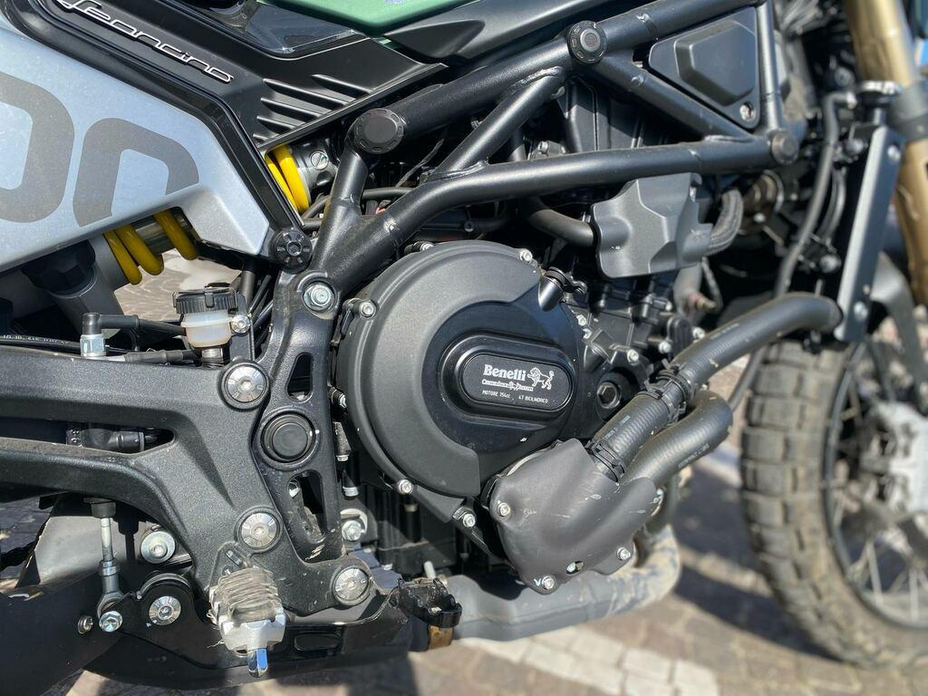 LEONCINO 500
