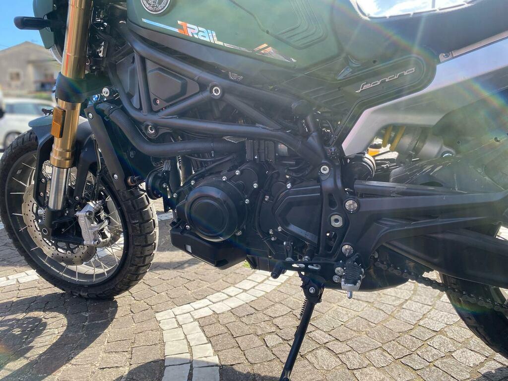 LEONCINO 500