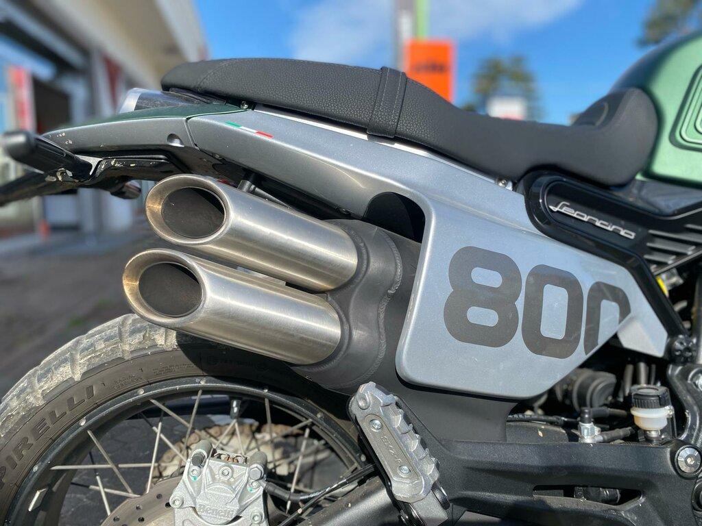 LEONCINO 500