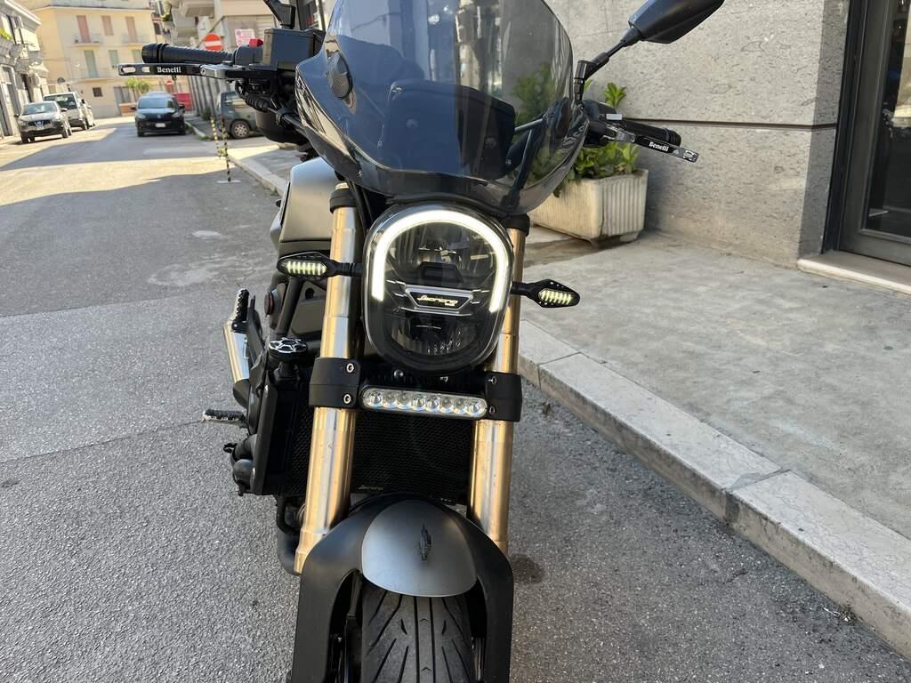 LEONCINO 500