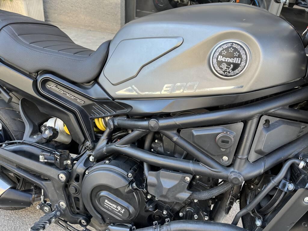 LEONCINO 500