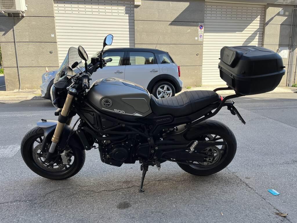 LEONCINO 500