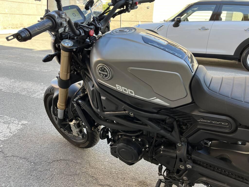 LEONCINO 500