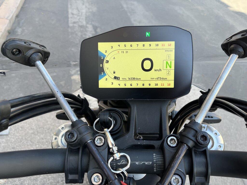 LEONCINO 500