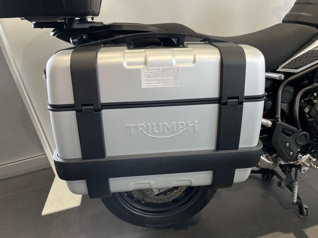 TIGER 900