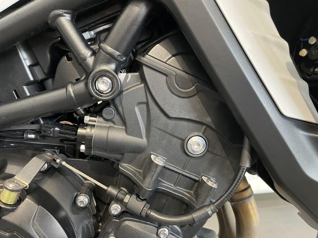 TIGER 900