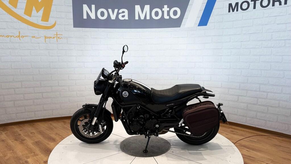LEONCINO 500
