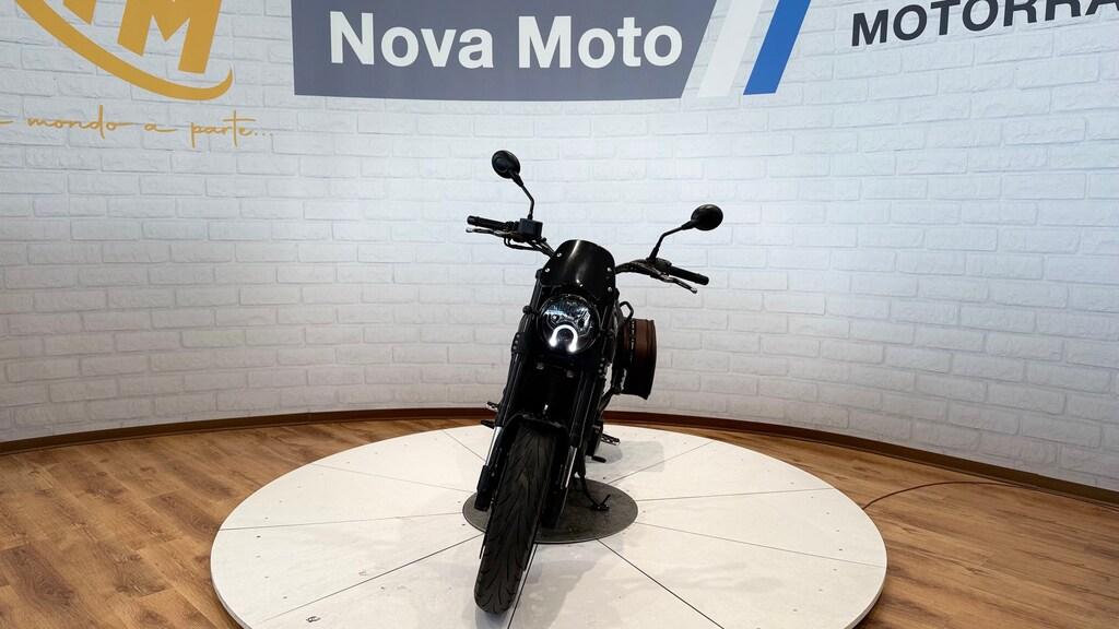 LEONCINO 500