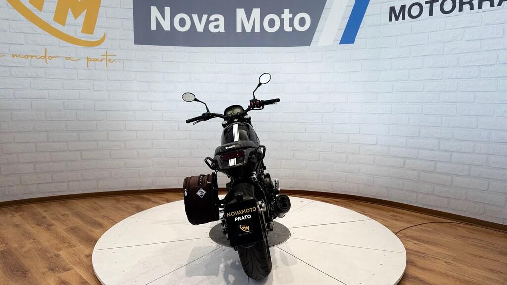 LEONCINO 500