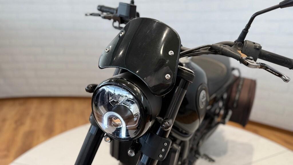 LEONCINO 500