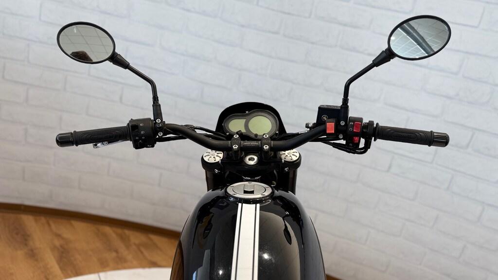 LEONCINO 500