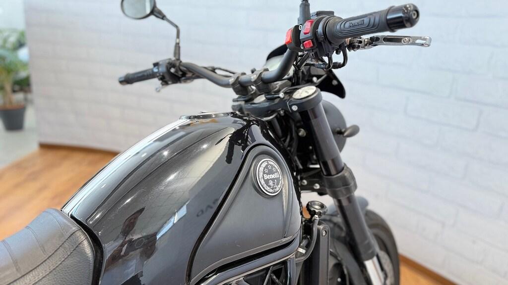 LEONCINO 500