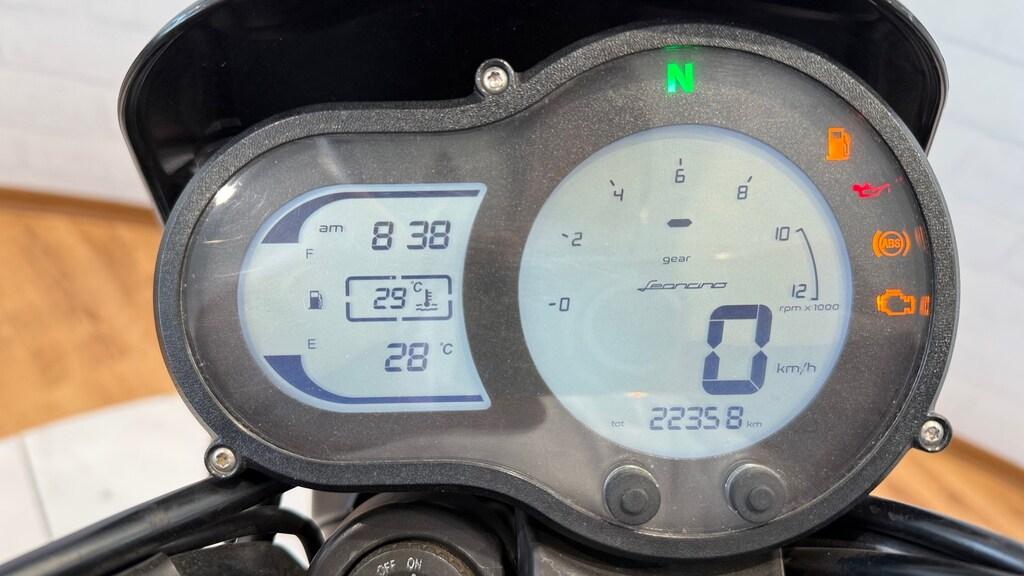 LEONCINO 500