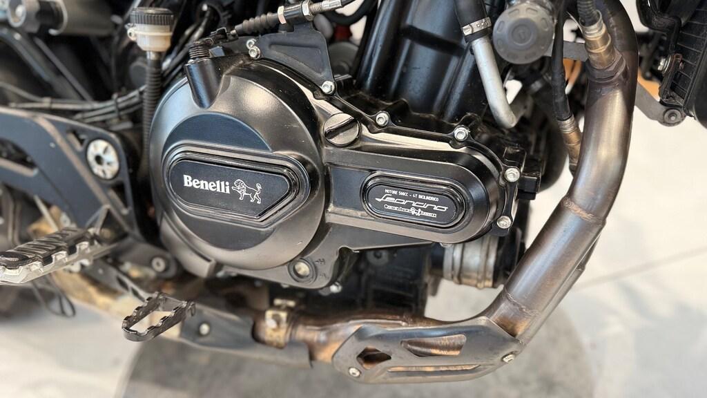 LEONCINO 500