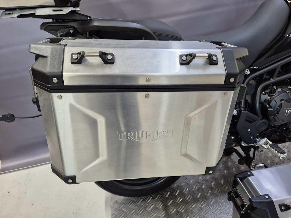 TIGER 900