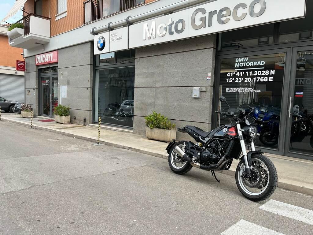 LEONCINO 500