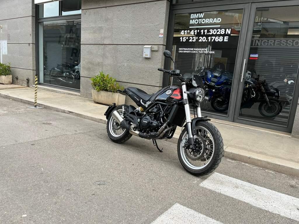 LEONCINO 500
