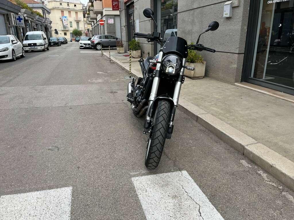 LEONCINO 500