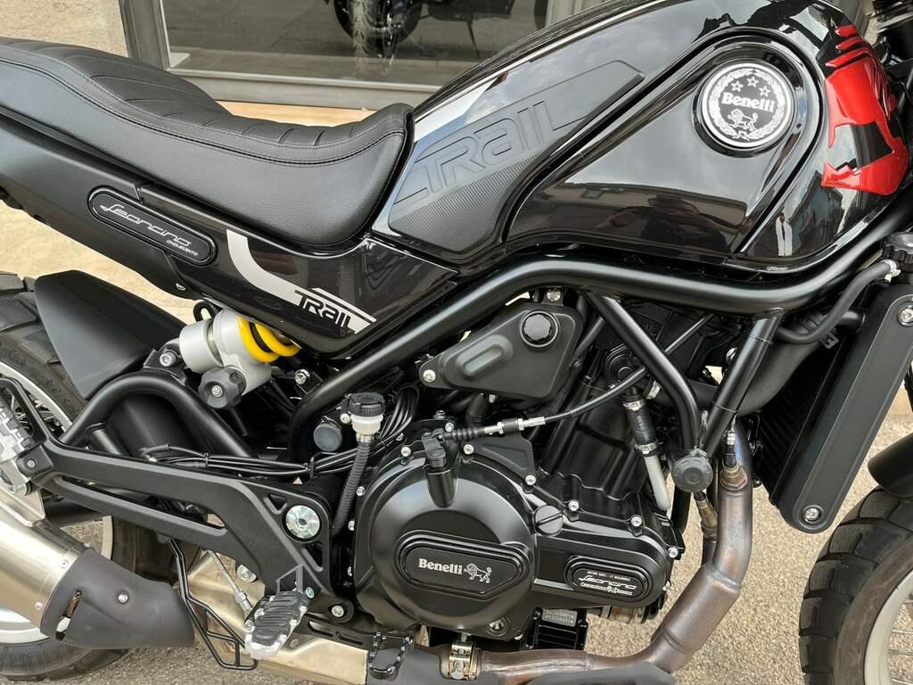 LEONCINO 500