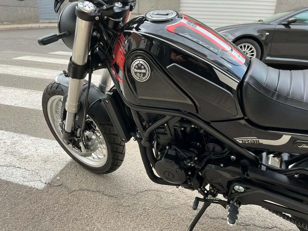 LEONCINO 500