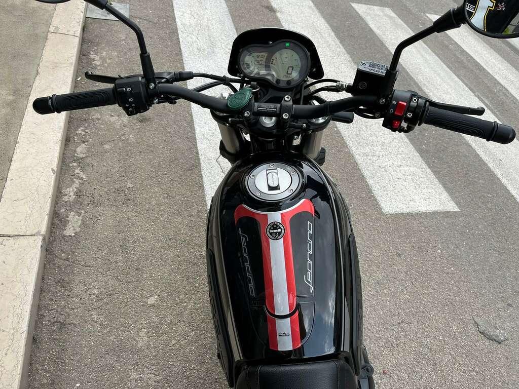 LEONCINO 500