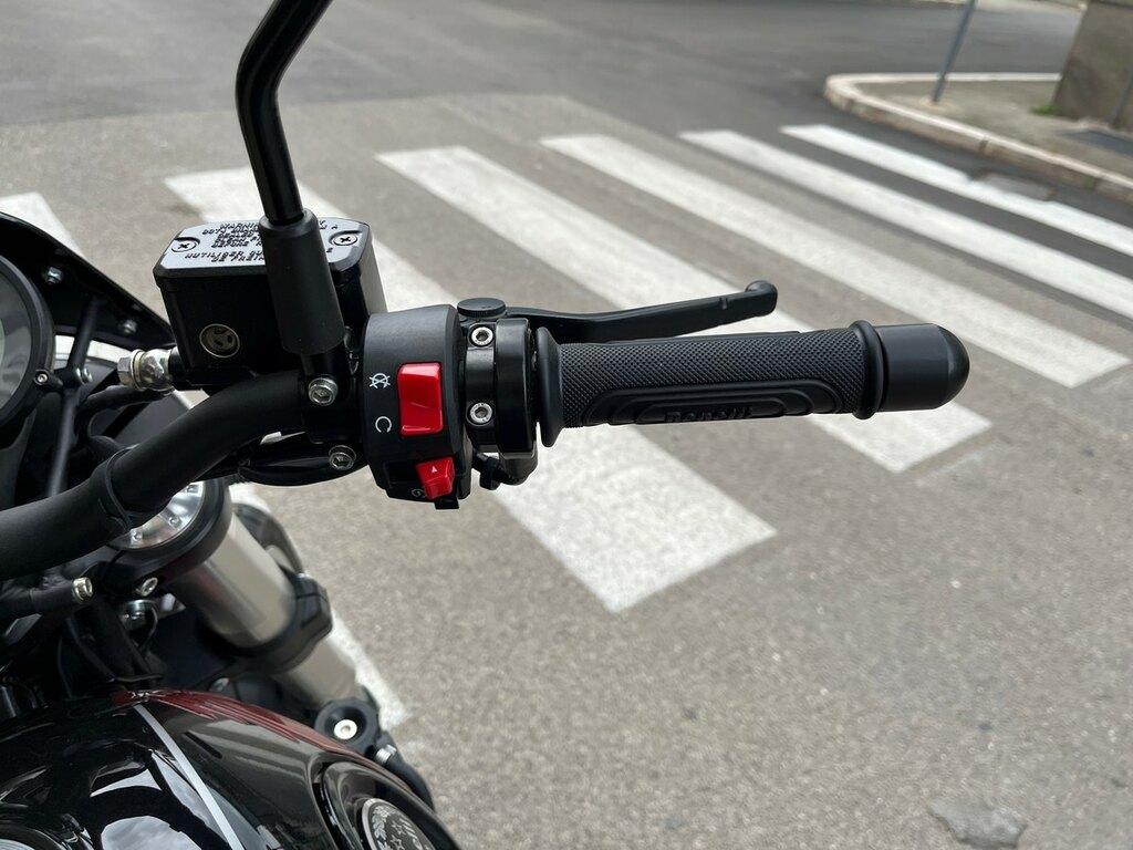 LEONCINO 500