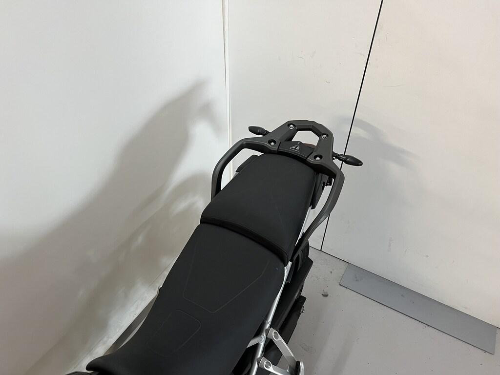 TIGER 900