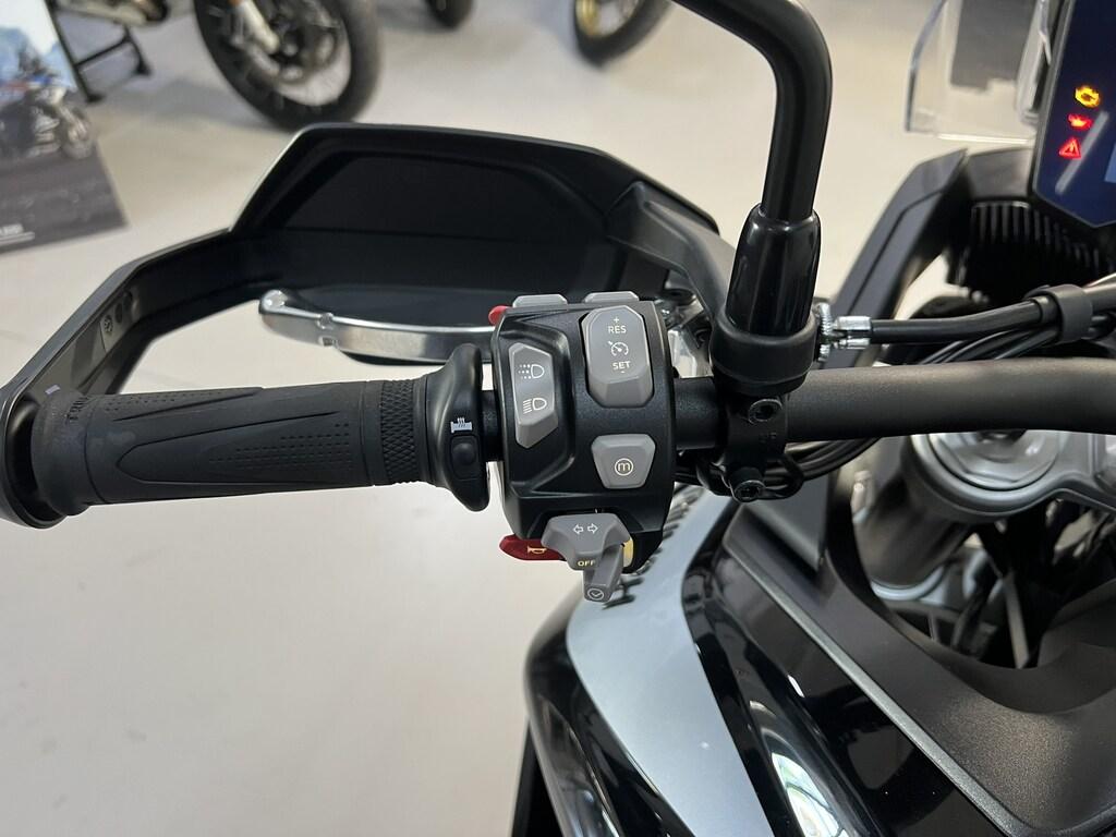 TIGER 900
