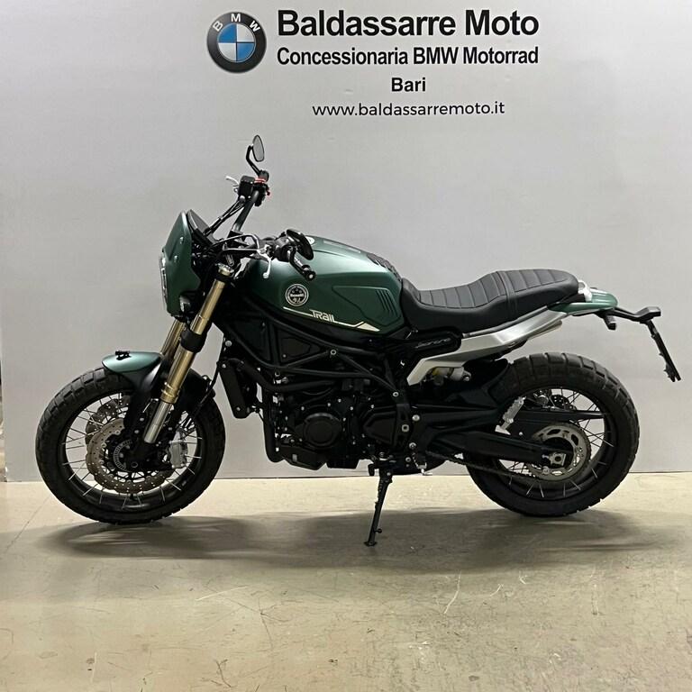 LEONCINO 500