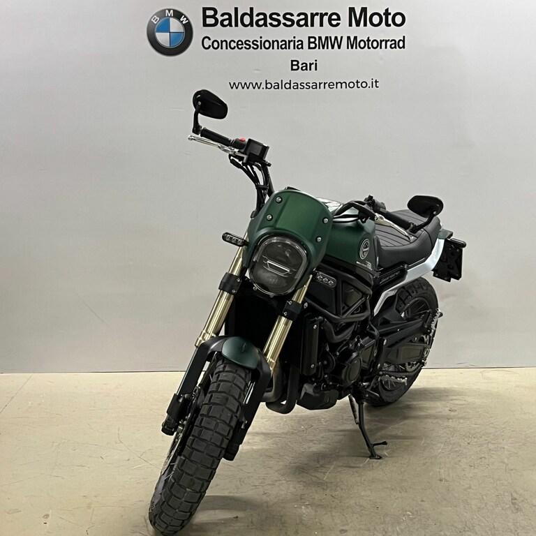 LEONCINO 500