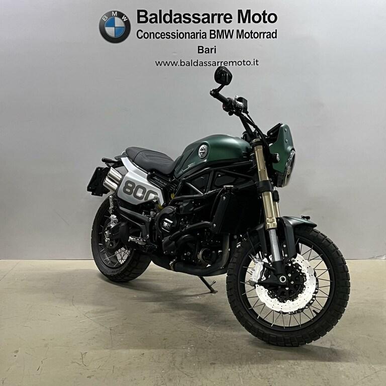 LEONCINO 500