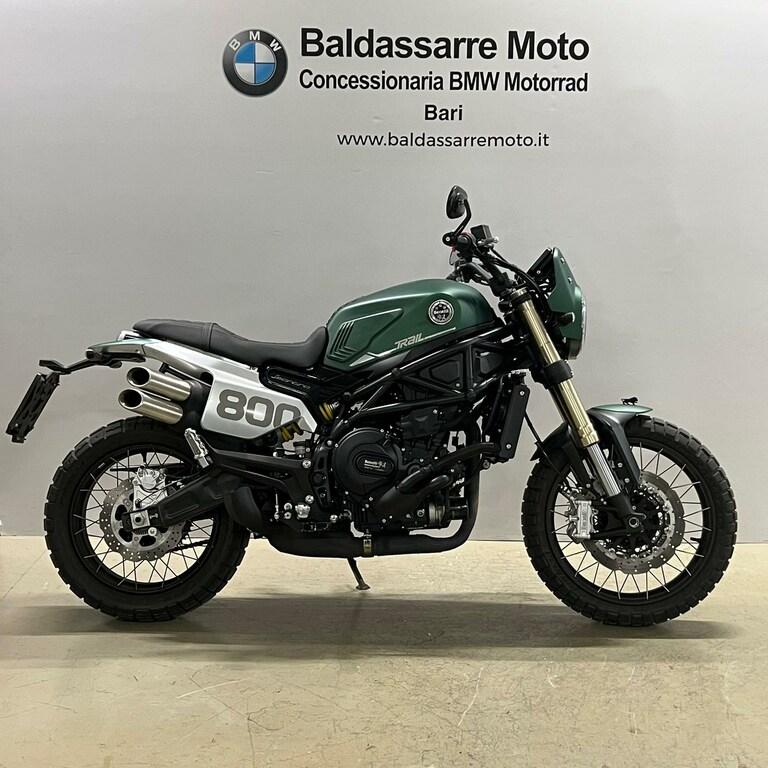 LEONCINO 500