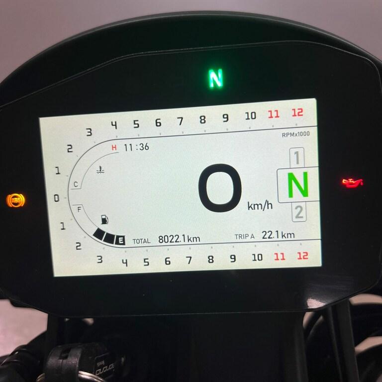 LEONCINO 500