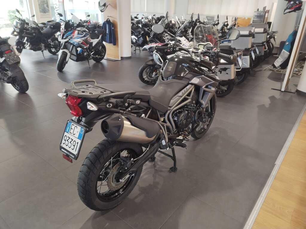 TIGER 800