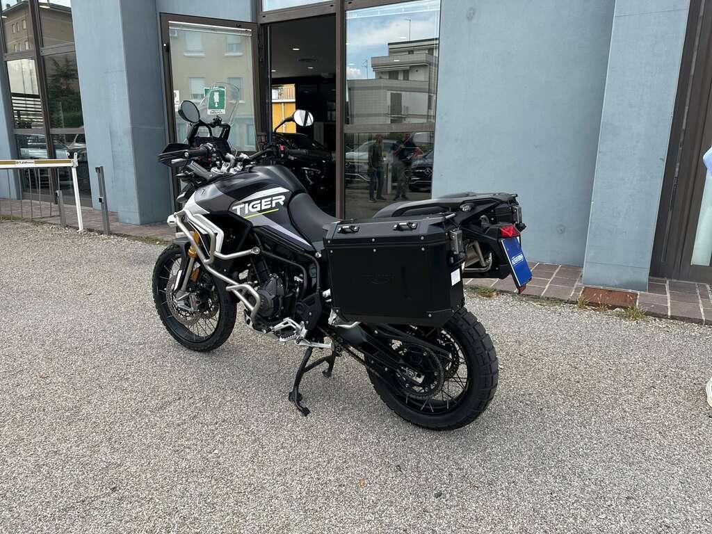 TIGER 900