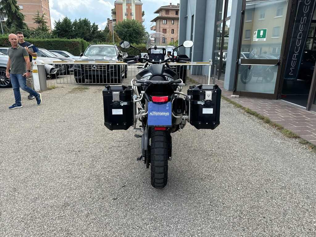 TIGER 900