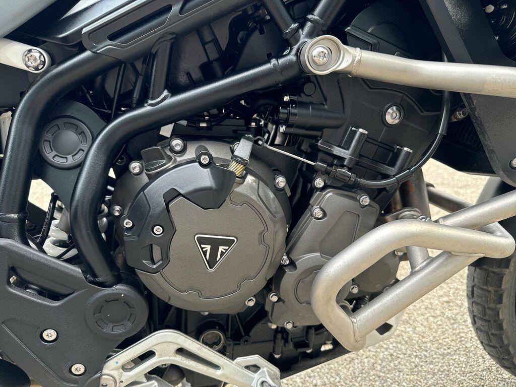 TIGER 900