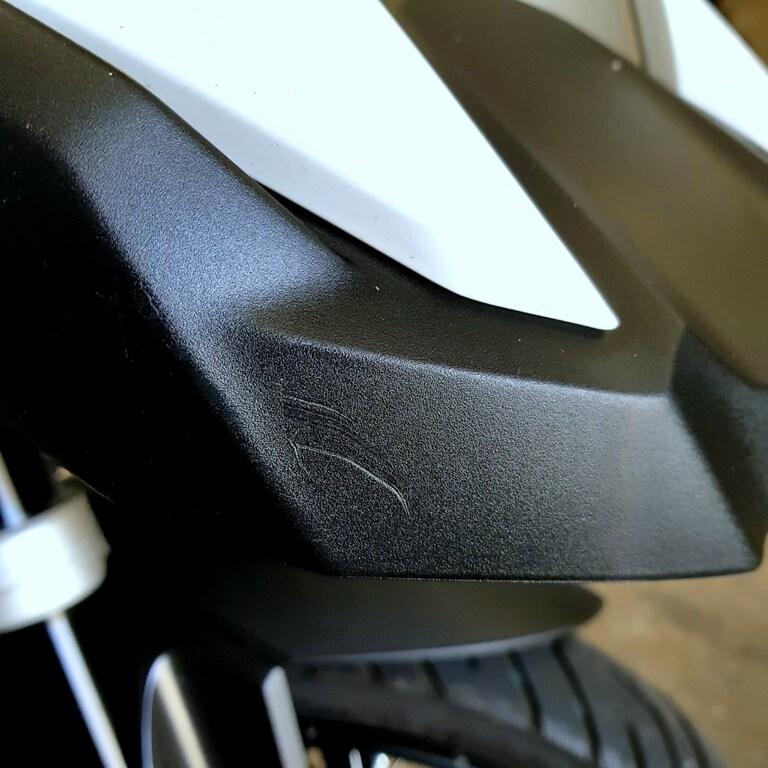 R 1250 GS